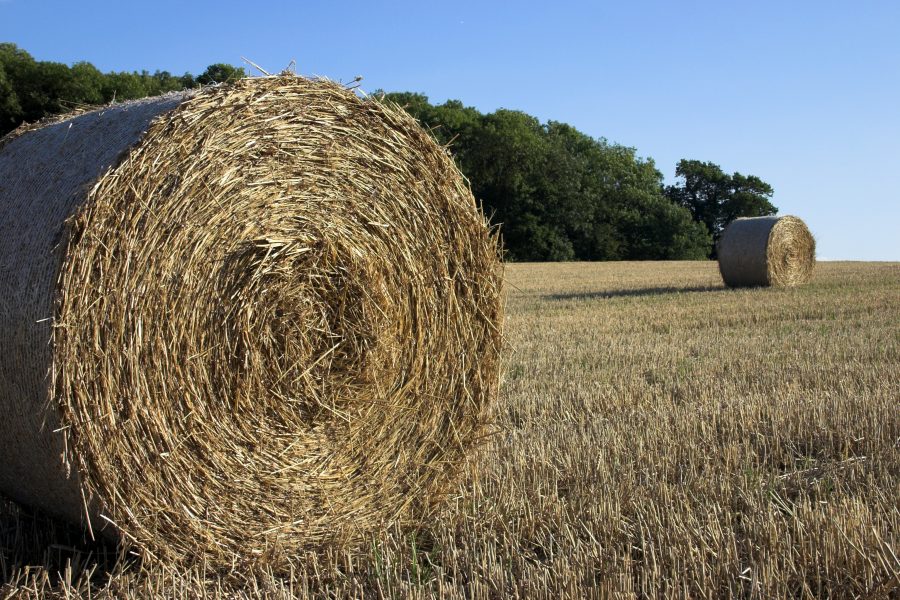 Photo of straw bales in a field