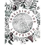 Cover of Threading the Labyrith by Tiffani Angus